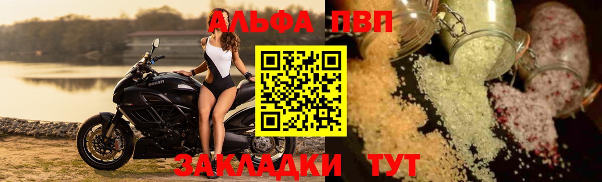 Альфа ПВП СК КРИС Геленджик