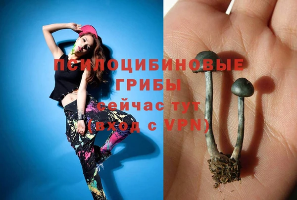 спиды Домодедово