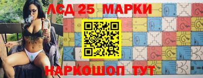 индика Беслан