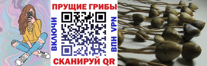 Галлюциногенные грибы Magic Shrooms Геленджик