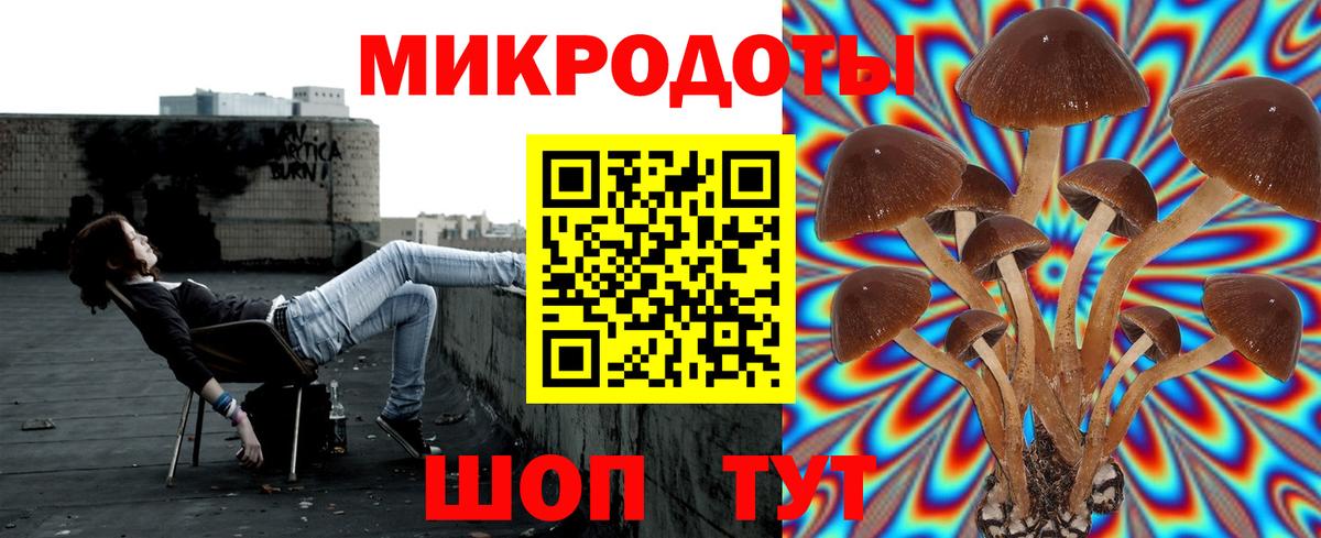 Псилоцибиновые грибы GOLDEN TEACHER  Геленджик 