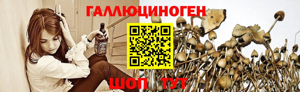 Alpha-PVP  Геленджик  Где продают наркотики?  Марихуана  Мефедрон  КОКАИН  ГАШ  Вход с VPN  Мяу-Мяу  Канабис  Героин 